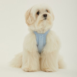【予約】[ thesallyslaw ] Roony bear top｜Cloud Blue