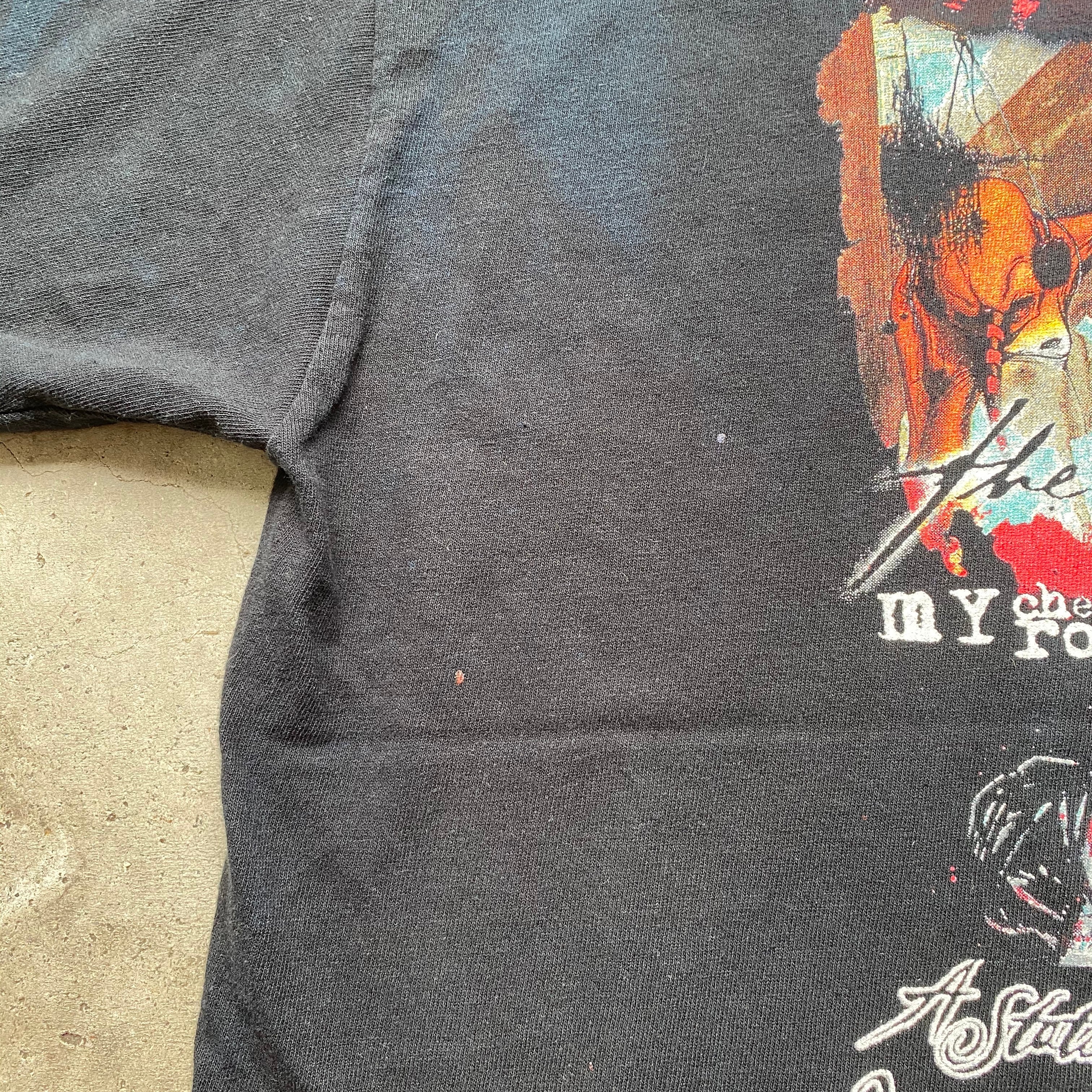 taste of CHAOS 2005 フェス ツアー バンドTシャツ メンズXL 古着 【T