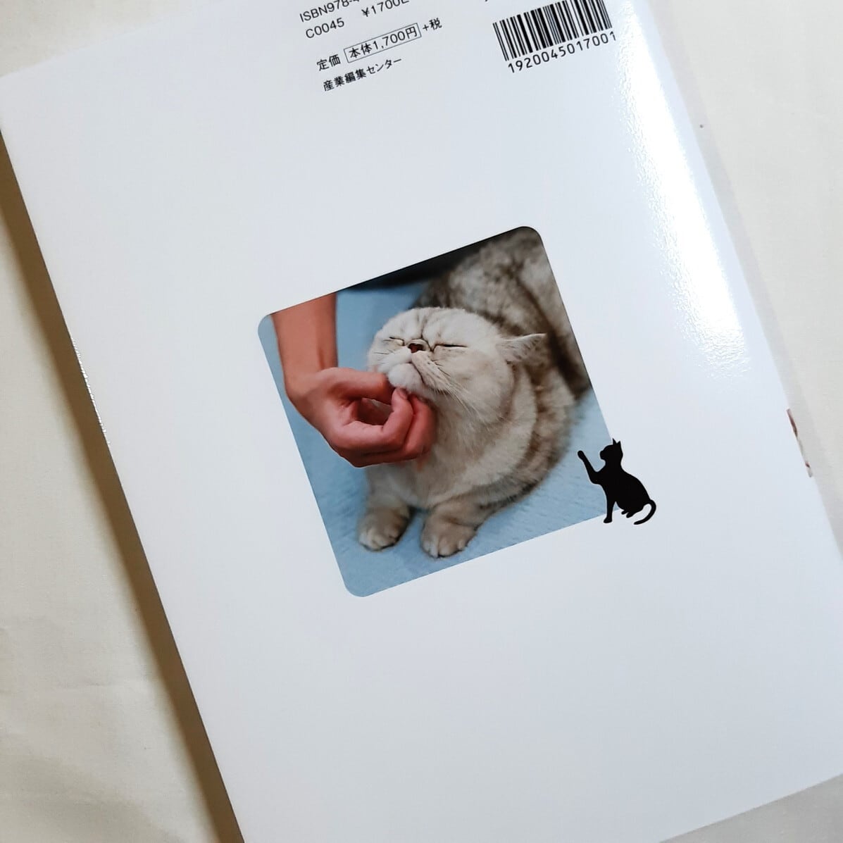 シニアねこほぐし 猫を整えるやさしいマッサージ | ねこのみち