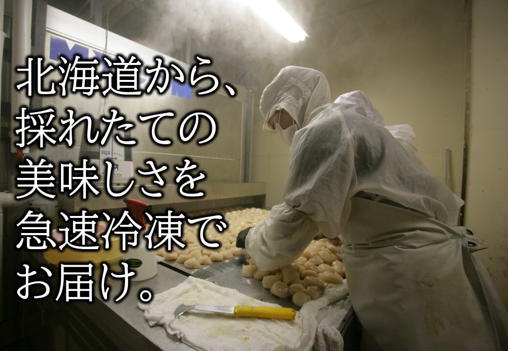 冷凍ホタテ【生食用】浜頓別産【特】サイズ（不ぞろい） | 海鮮直売