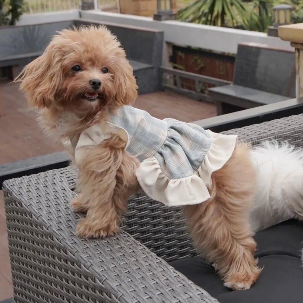 Warm & Cozy – Pet Dress〈XS〉