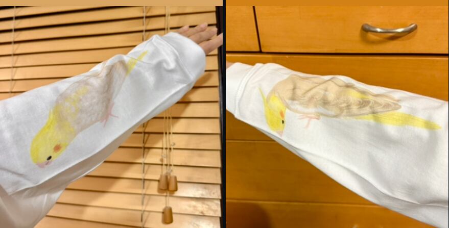 袖にインコが潜んでいる Tシャツ(シナモン)※次回11/25〜お届け