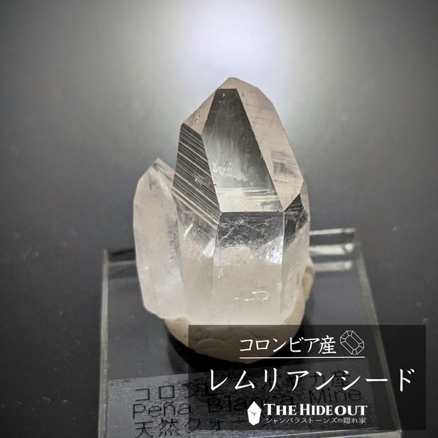 店長気まぐれ仕入れ品008 この産地には珍しい？愛嬌MAXのコロッと形状コロンビアン