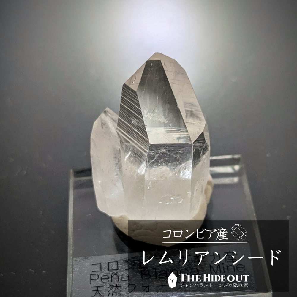 店長気まぐれ仕入れ品008 この産地には珍しい?愛嬌MAXのコロッと形状コロンビアン