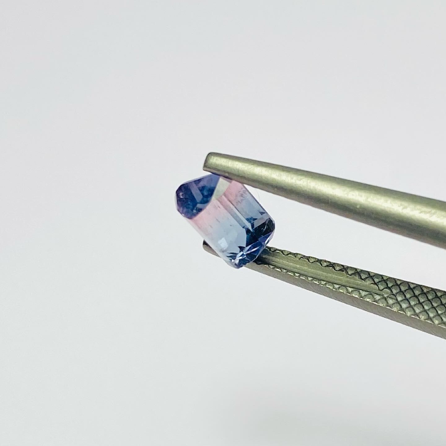 大人プリンス♡プリンセスバイカラートルマリン