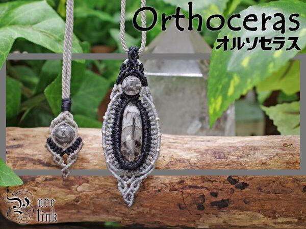 化石『オルソセラス』太古の海・古生物の力を秘めた魔石マクラメ編ネックレス