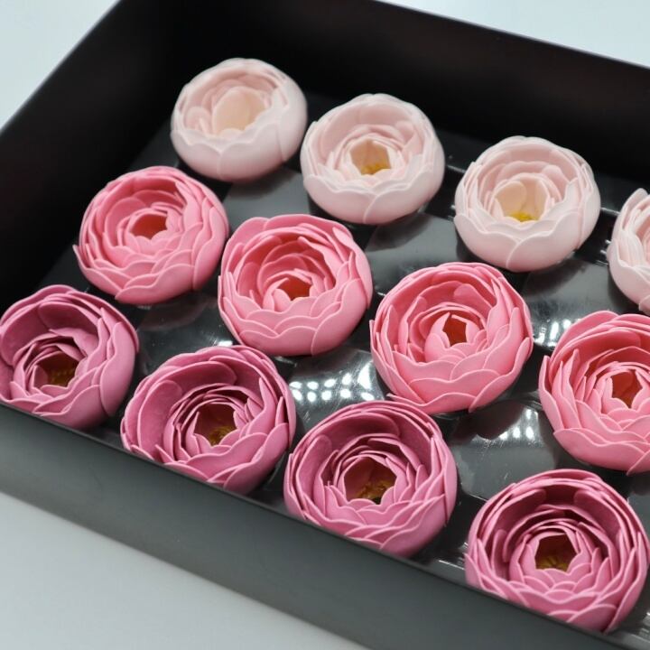 ラナンキュラスN-MIX3チェリーブロッサム(15輪入り)