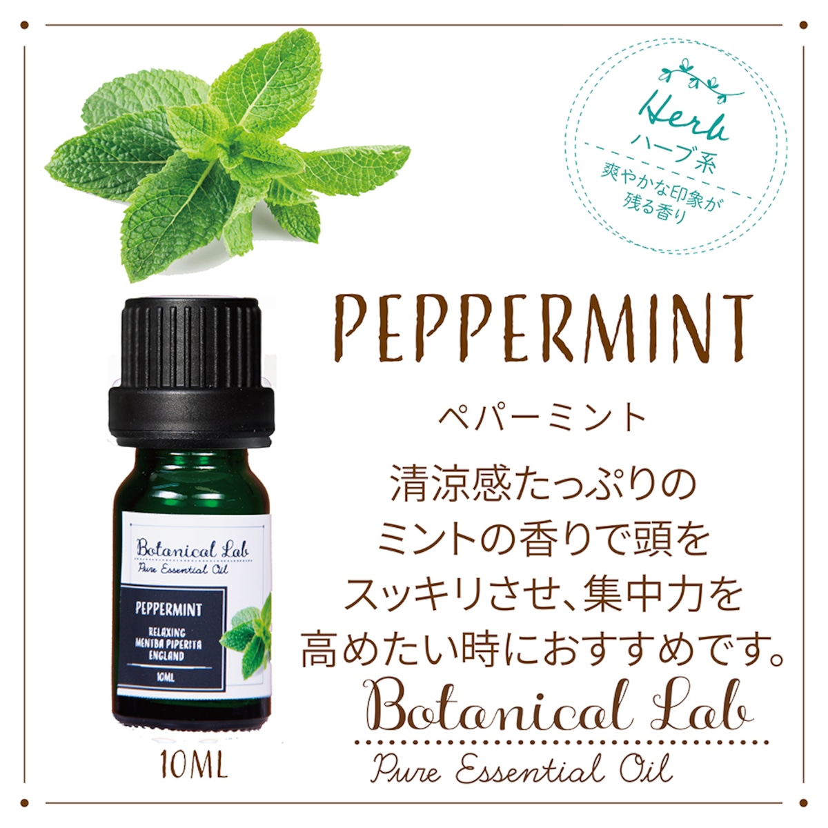Botanical Lab アロマエッセンシャルオイル ペパーミント 10ml 清涼感たっぷりミントの香り Botanical Lab