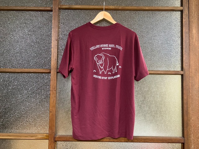 THE NORTH FACE WHITE LABEL MERINO WOOL GRAPHIC TEE (BISON/WINE)