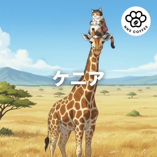 ケニア シンバ ウォッシュ AB TOP