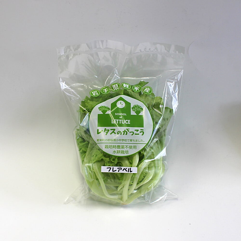植物工場発！】水耕栽培レタス「レタスのがっこう（フレアベル）」1袋