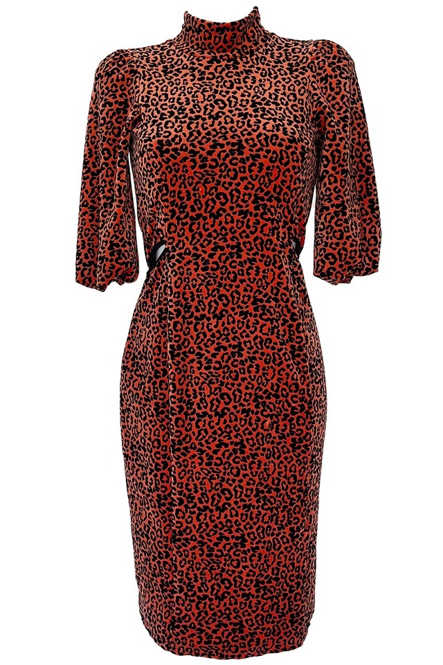 Iris Leopard Dress - Terra