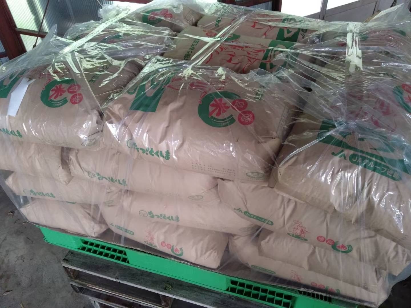 令和7年産 徳島県産 コシヒカリ10kg 精米