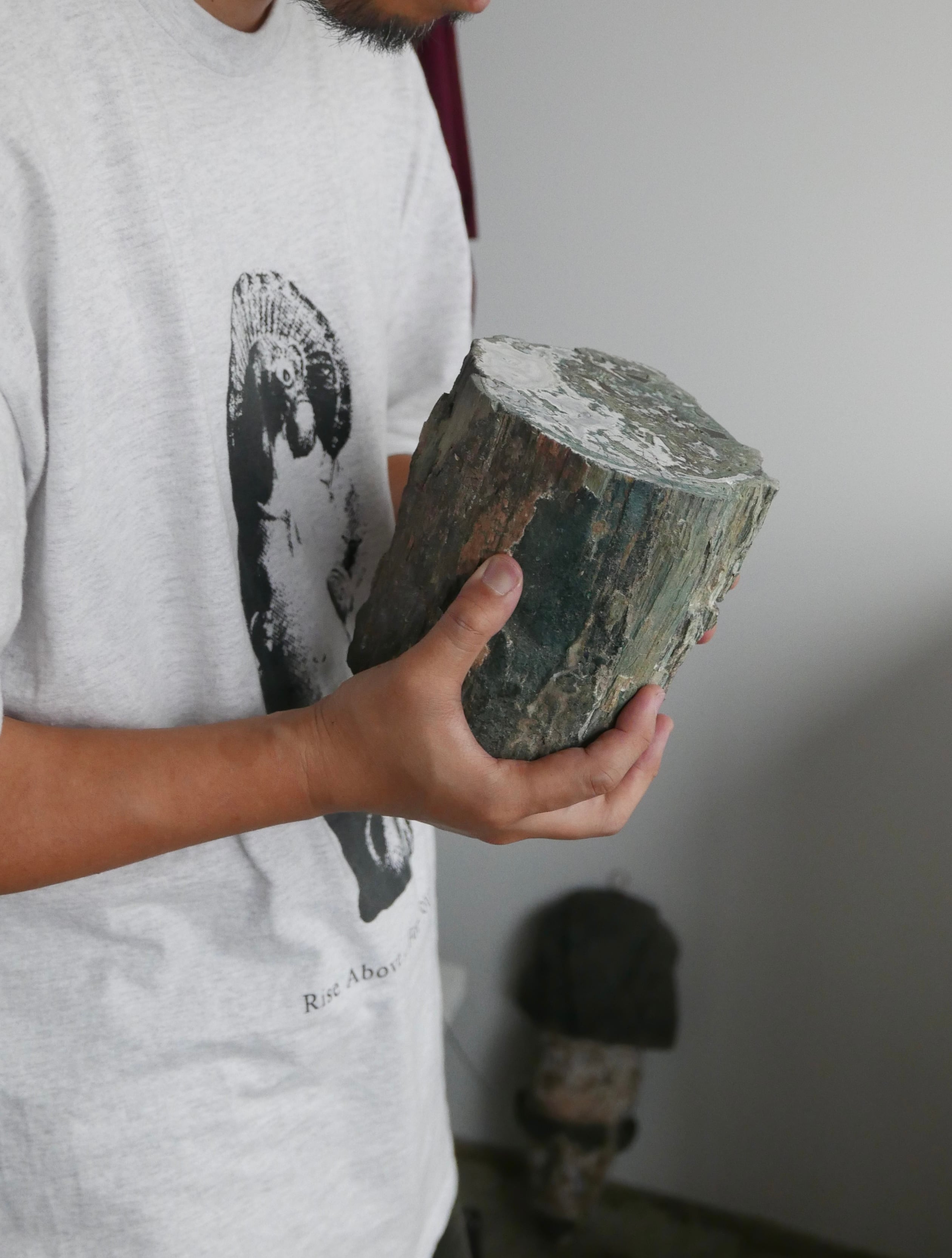 petrified wood stump  , palewhite × light green , like an abstract painting