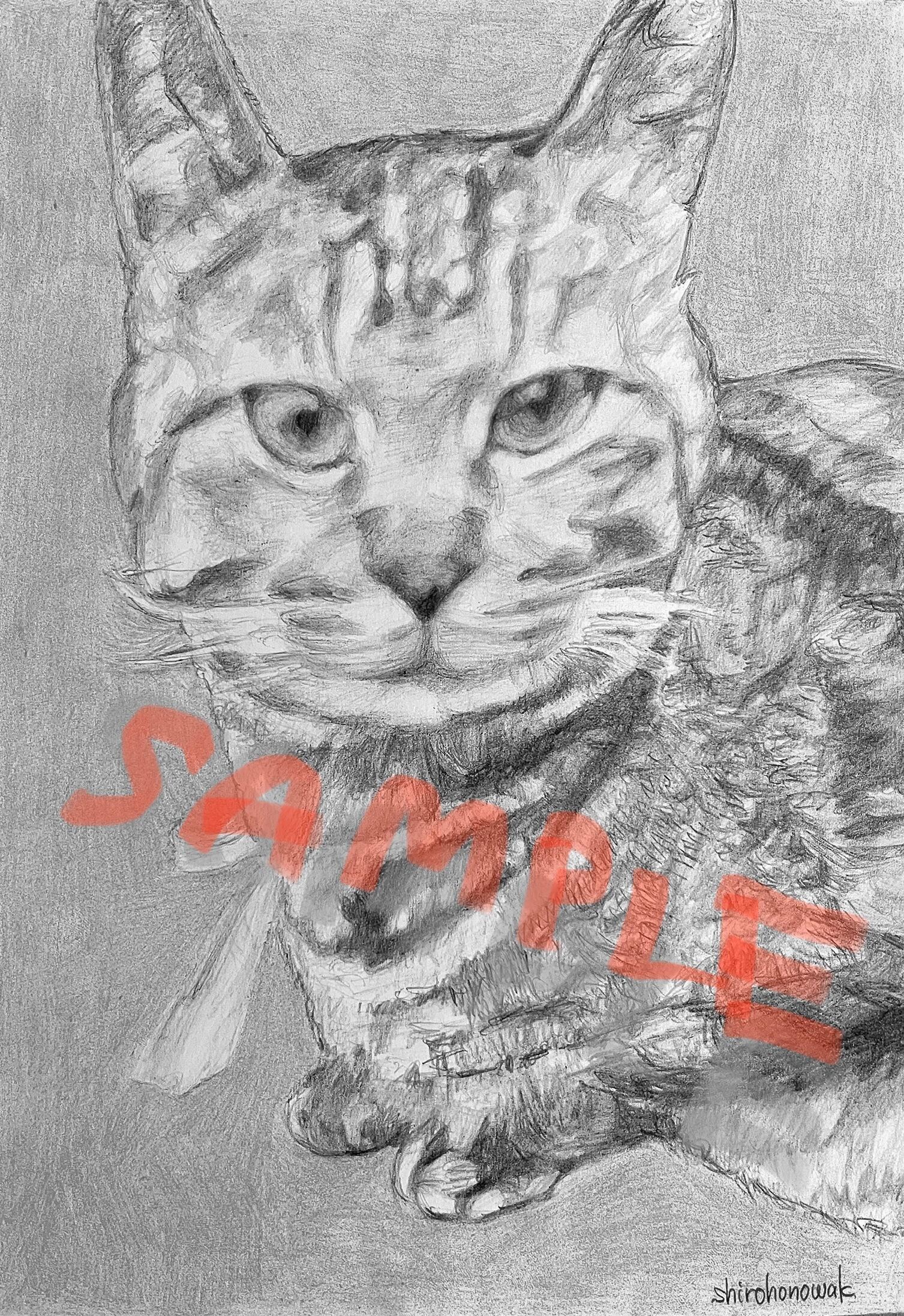 イラスト　アート 「無」鉛筆　No.1 鉛筆1ダース イラスト素材 [760477] - フォトライブラリー