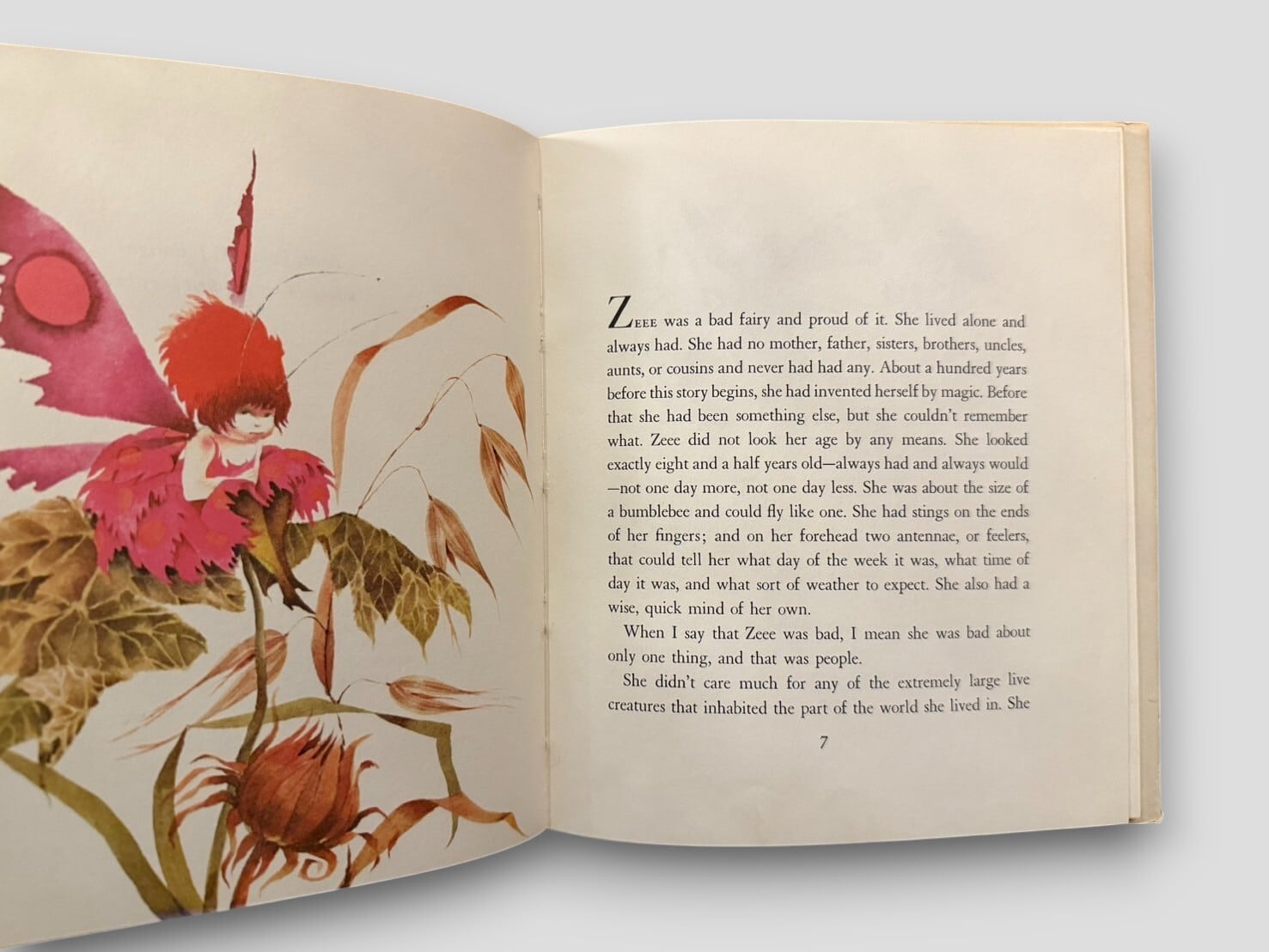 SC123】【FIRST EDITION】Zeee(1965) /Elizabeth Enright & Irene Haas