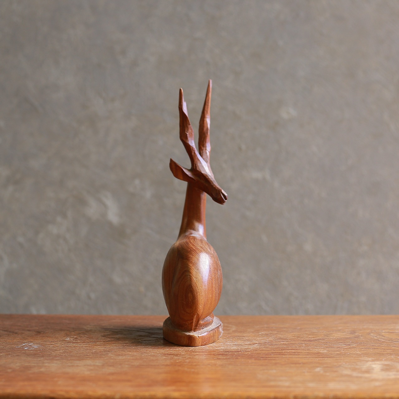 座って休憩中の、トムソンガゼル 2