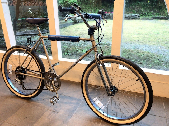 1982 Schwinn Sidewinder 10Speed 