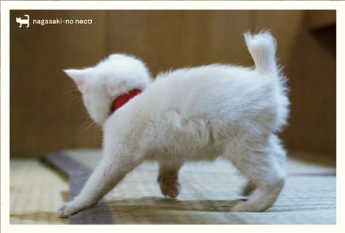 post card 082
