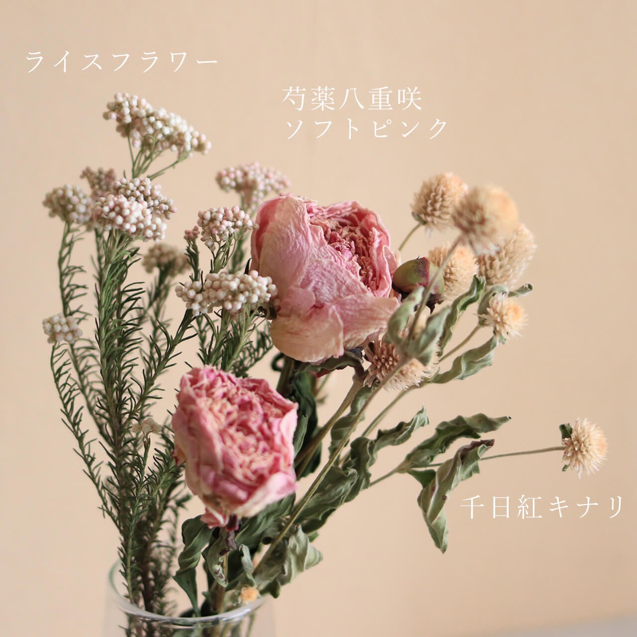 ポポラスと小花と千日紅のナチュラルリース* *ラッピング無料 壁掛け インテリア 千日紅 ホワイト (キナリ ベージュ アイボリー )/ 北海道産ドライ