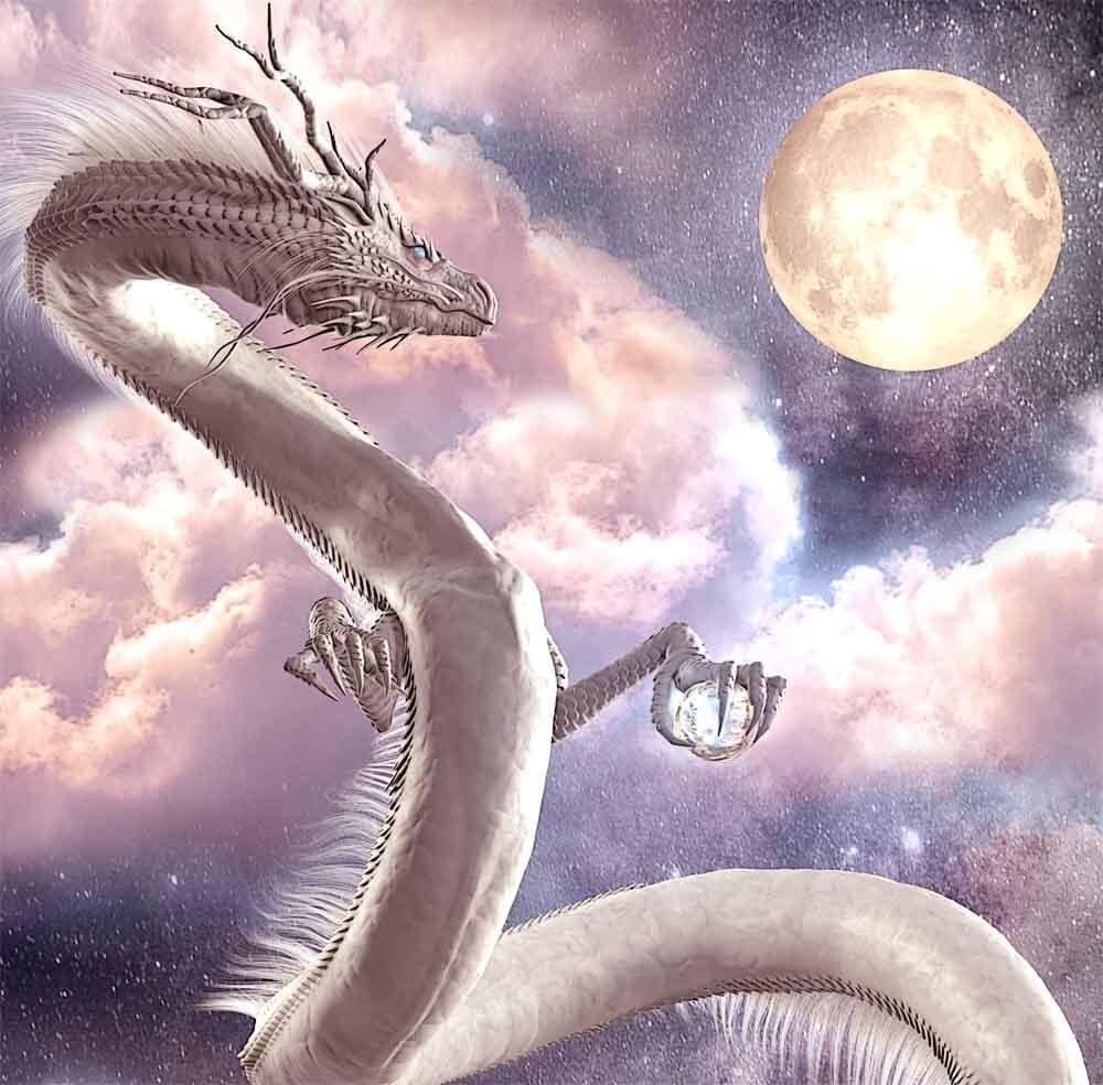 龍の絵「月下の白龍」A4 | 龍の絵