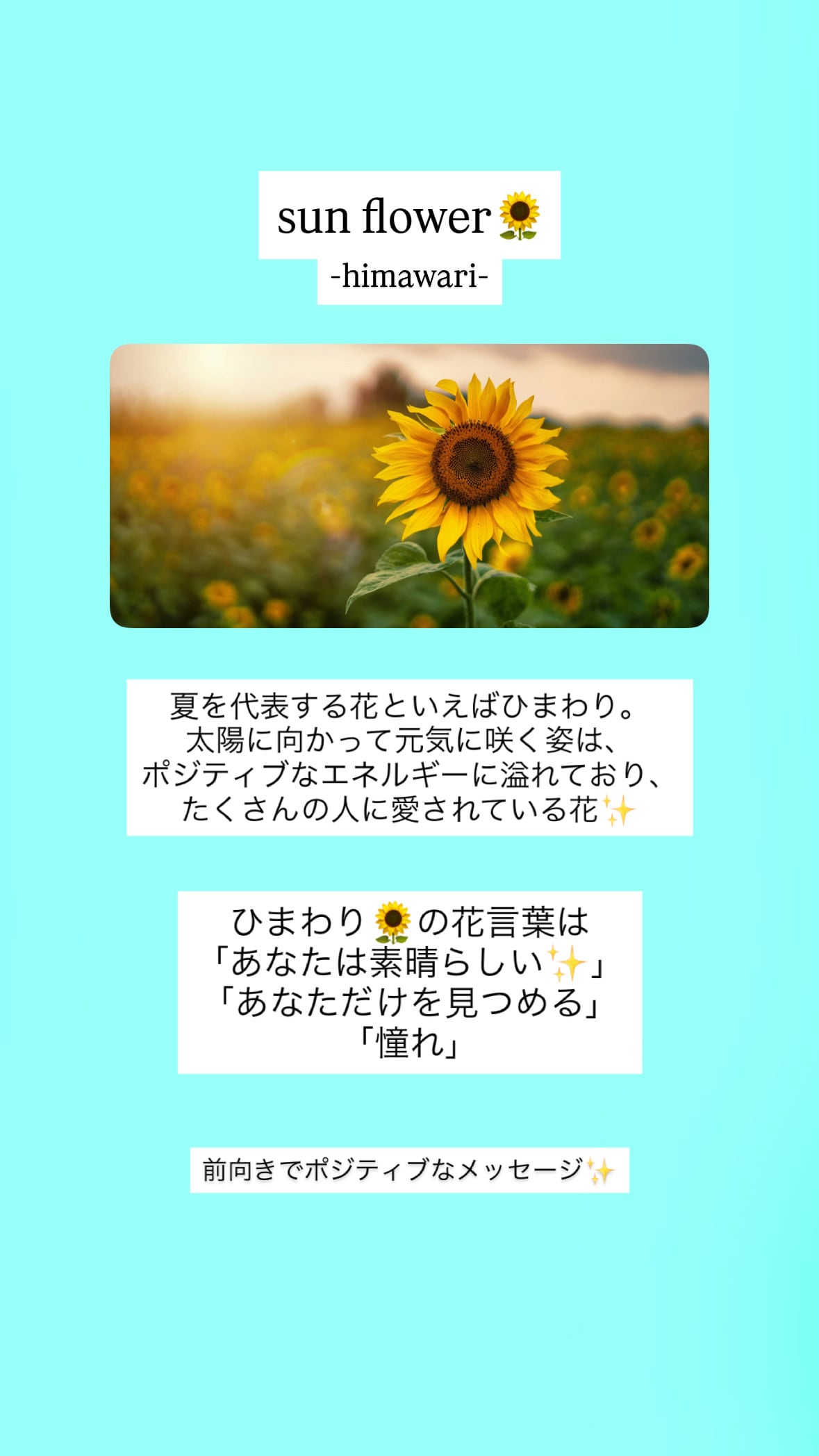 LIFE is sun flowerリバーシブルリング(ゴールド、グリーンゴールド、ピンクゴールド) ¥10,000+tax(¥11,000)