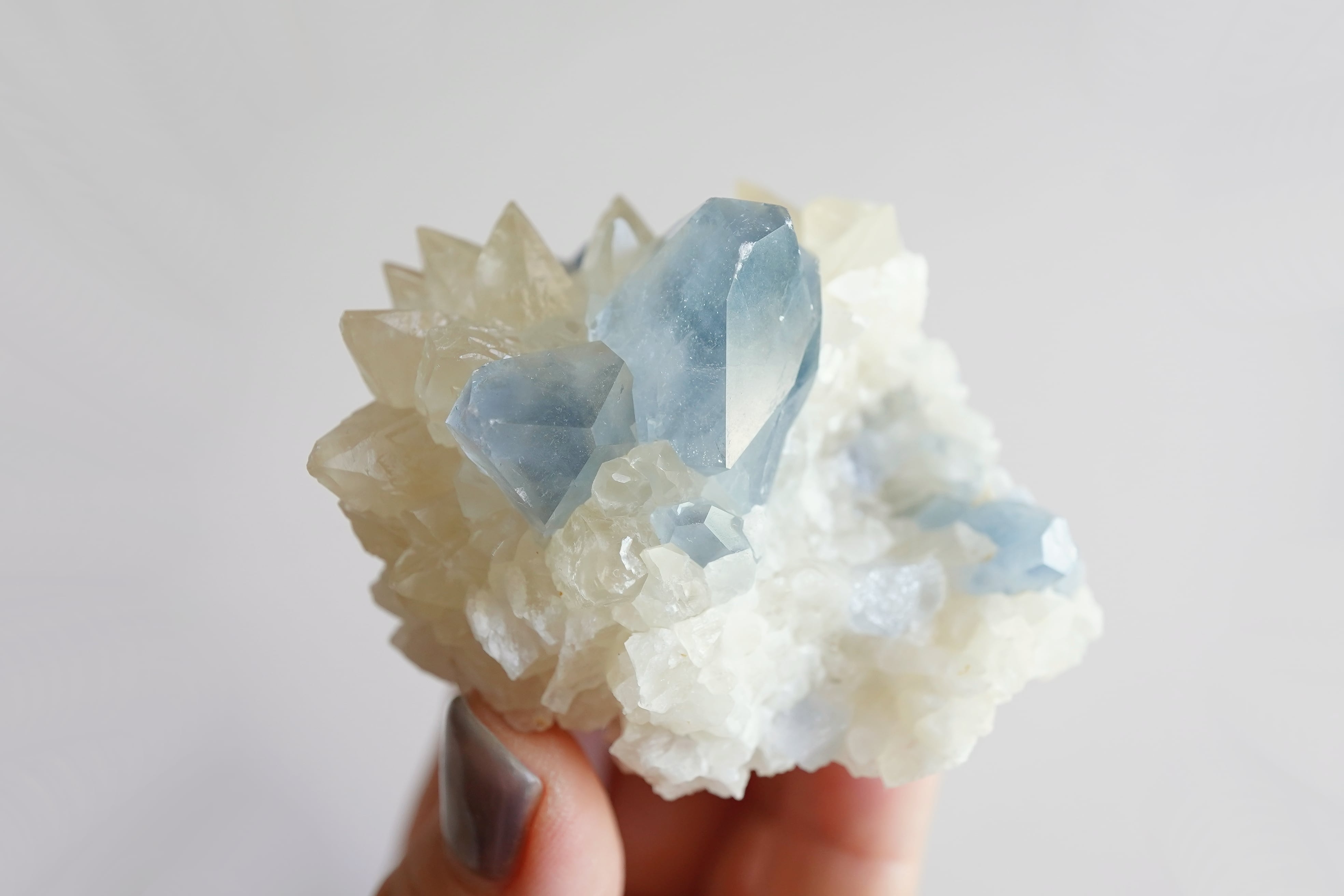 セレスタイト&カルサイト_174 | S I E R R A