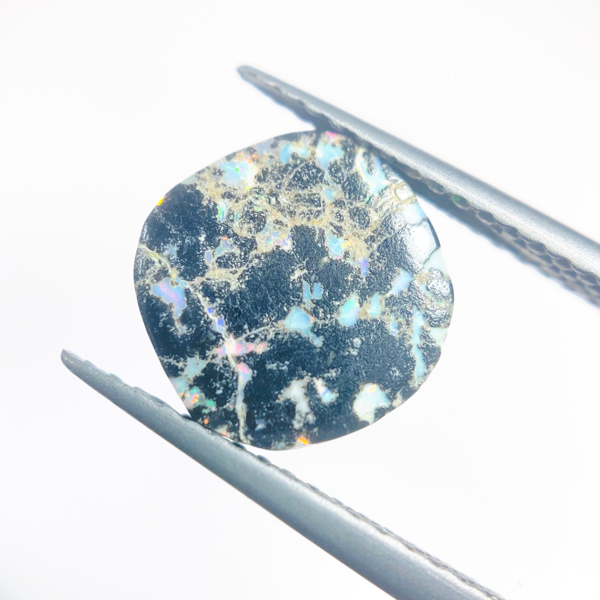 オサレなレオパードオパール2