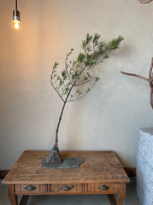 118 石の花器・石の敷台・枝ものセット 正月飾り水引き付き