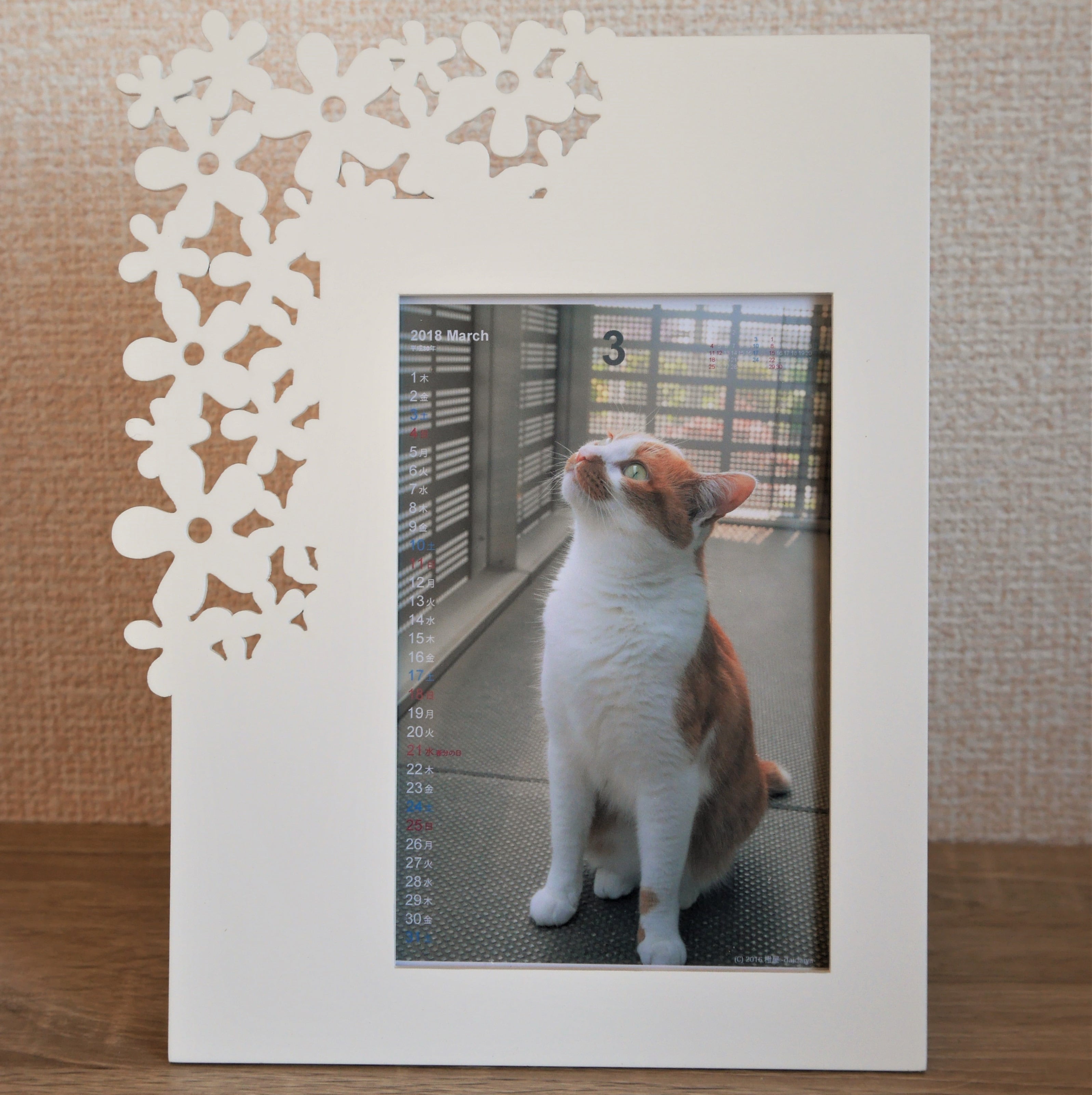 0b19748e9a5bdb899ad6923b04e327