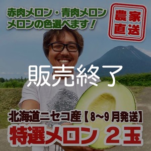 メロン2玉＜色指定可＞＜8～9月発送＞