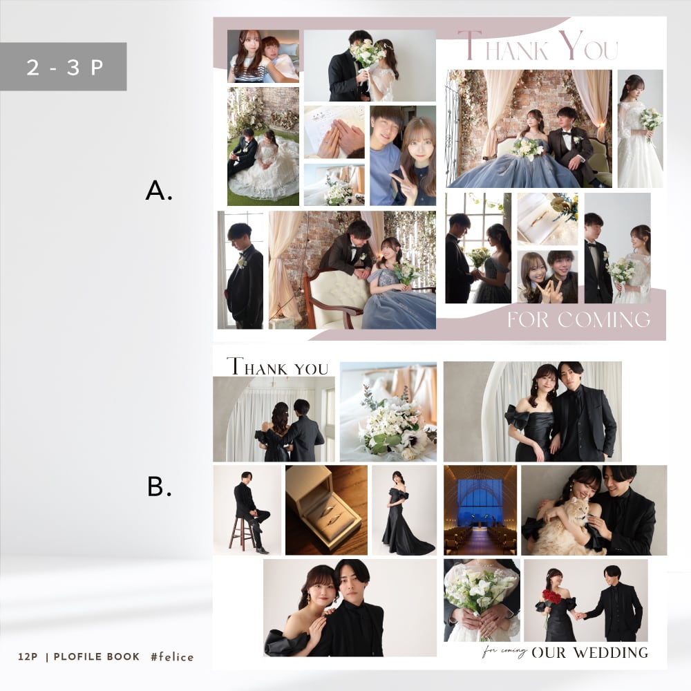 ○○ (プロフィール説明ご確認ください)　２枚セット 12P】選べるプロフィールブック #felice（席次表 / メニュー表