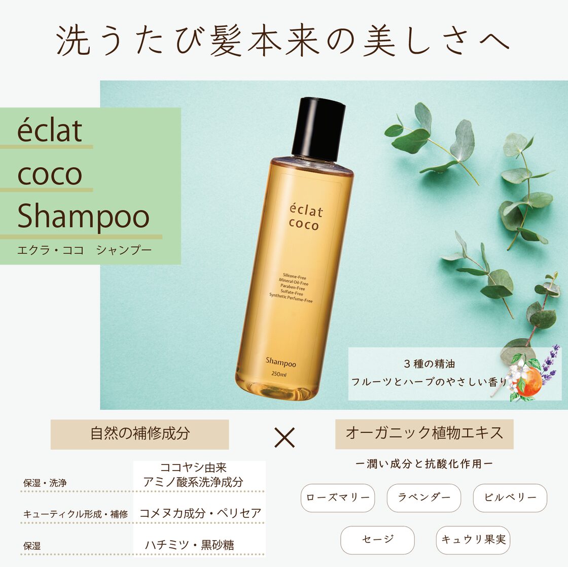 ioneat シャンプーオレンジ3本 【公式通販】