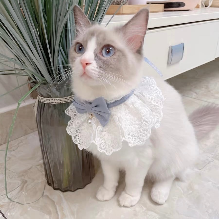Lace&Ribbonエプロン 首輪 首飾り 猫 | nyanpets 猫グッズ専門店