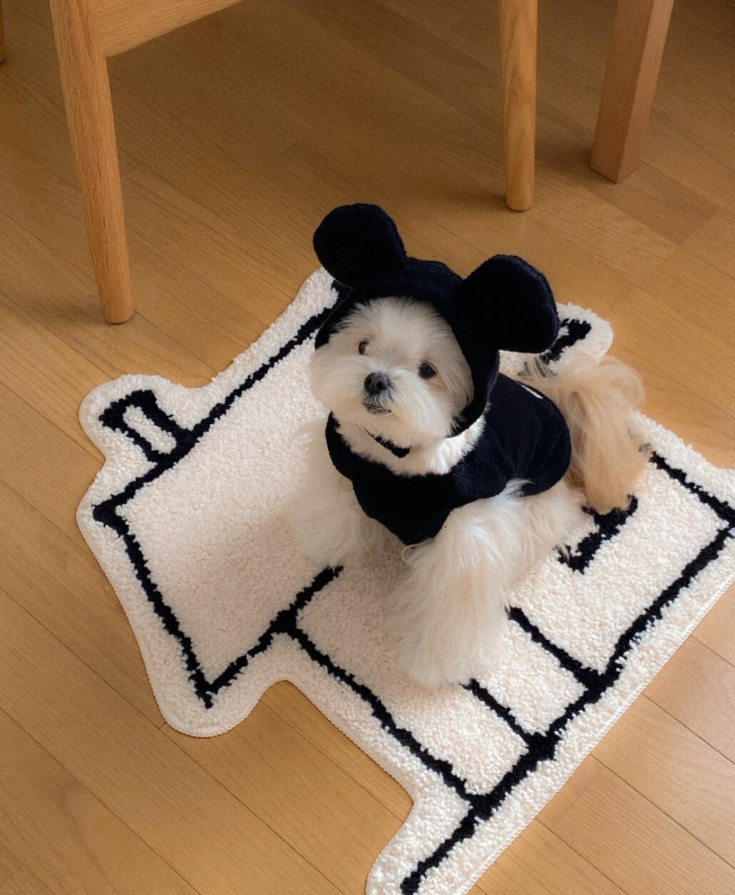 予約【ounce】Terry Bear Vest (Black)