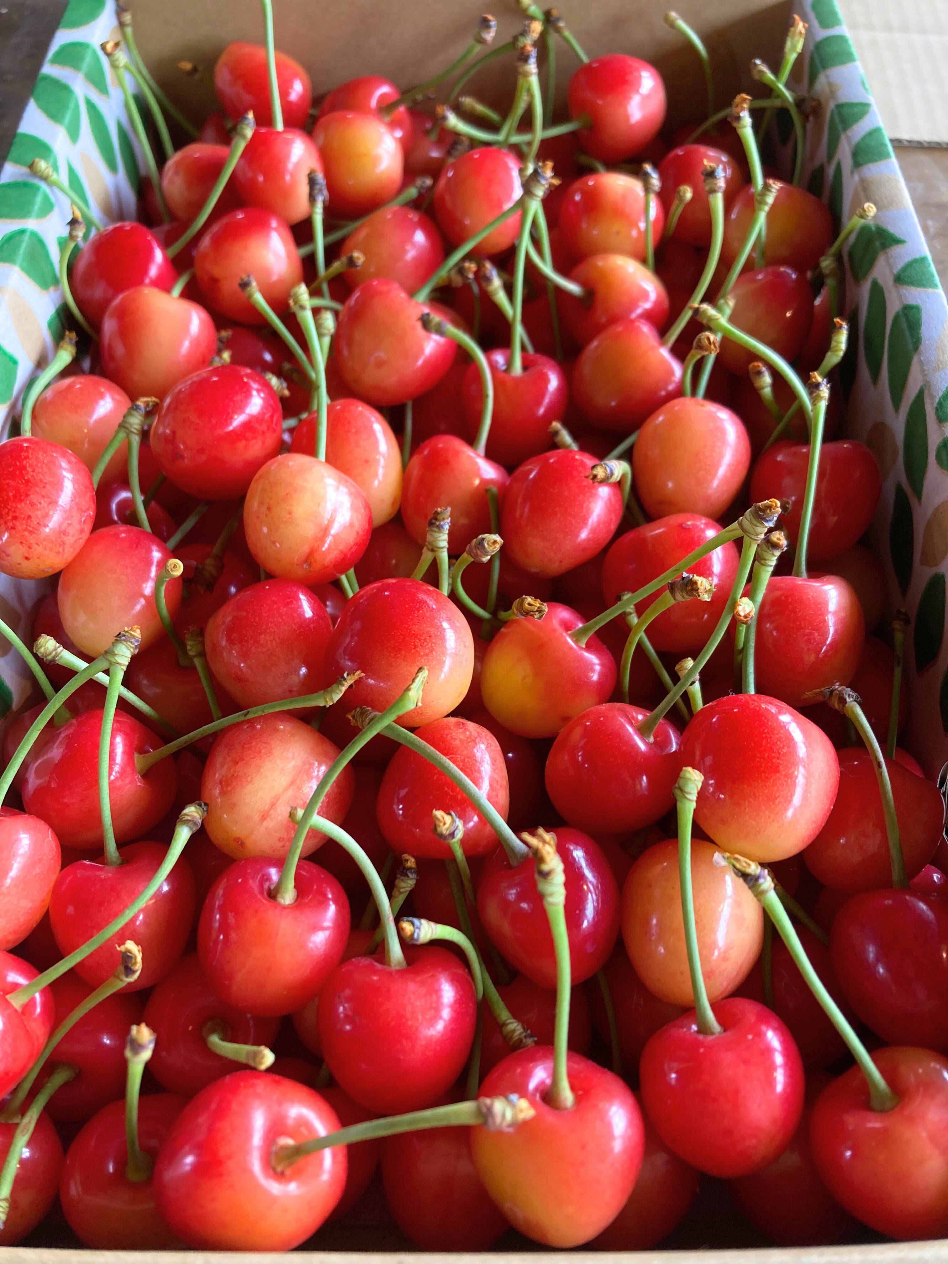甘くて！大きい！訳あり「紅秀峰」バラ詰め1kg