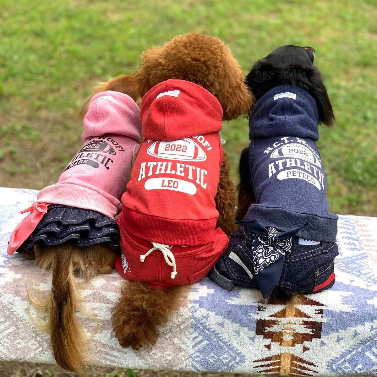 オーダー受付 ルミエール・フルールボタニカルチャーム ポメラニアン