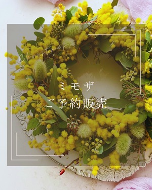 【予約申込み】ミモザのリース・スワッグ