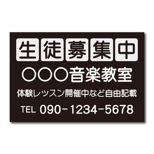 教室看板 生徒募集中看板 教室名自由記載 書体丸ゴシック プレート看板 アルミ複合板 穴あけ無料 屋外対応 sch0051