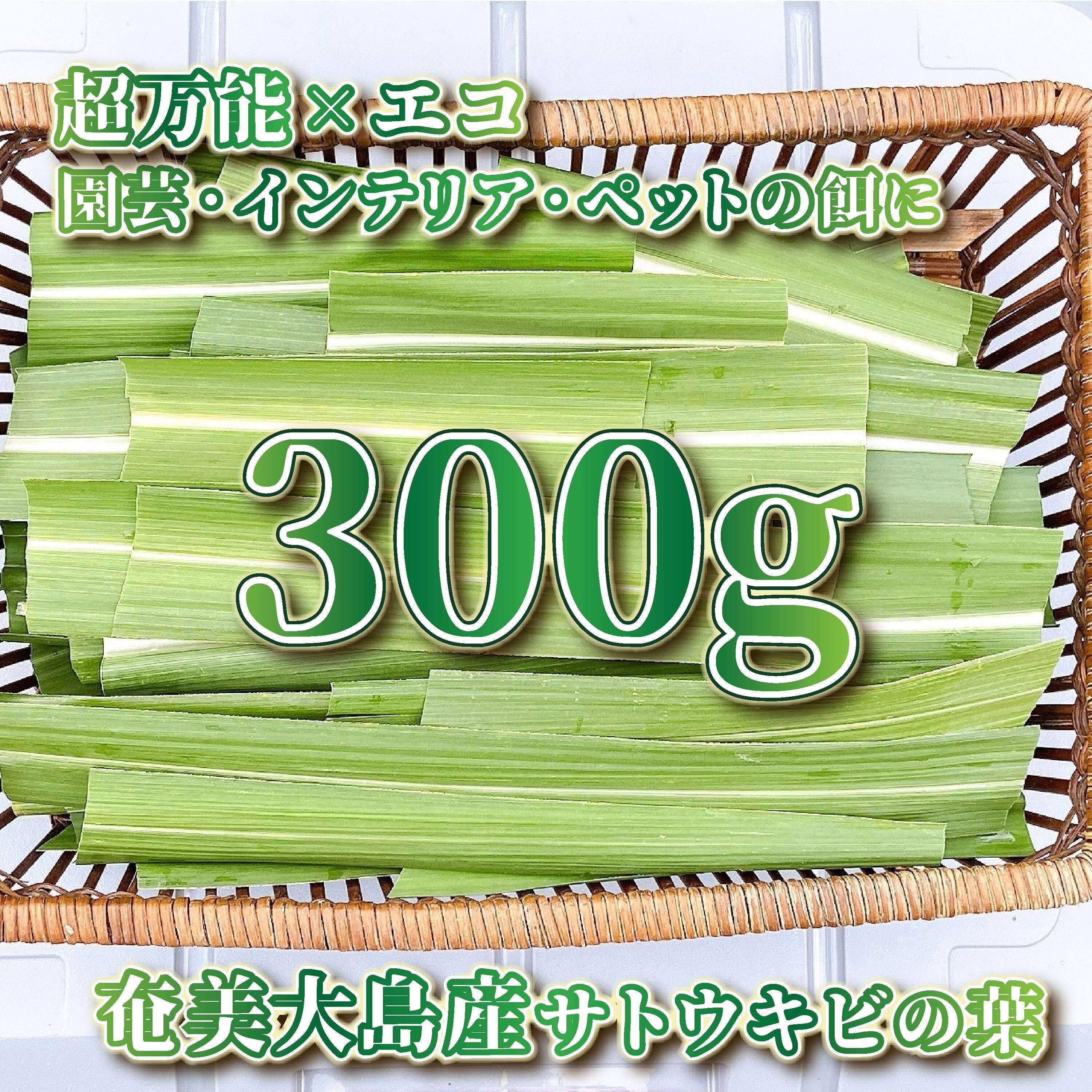 奄美大島産：さとうきびの葉 300g】南国の自然が育てた自然素材 収穫