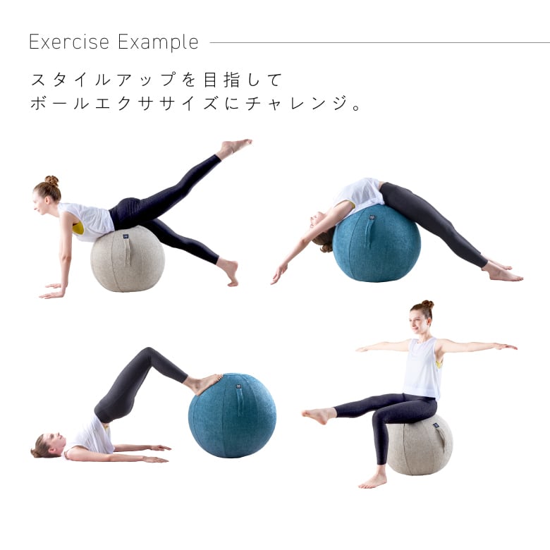 MIVIOS バランスボール シェリア 65cm ロイヤルブルー MVS365 | ALINCO