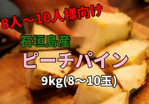 石垣島のピーチパイン9kg(8〜10玉)