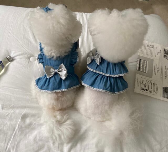 《予約》HI0015 Denim Collection