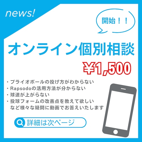 オンライン個別相談