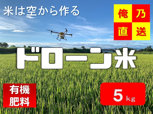 【令和5年産完売】「ドローンで作ったIT米」コシヒカリ（5kg）