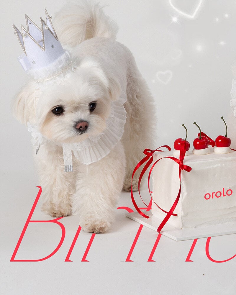 即納【orolo】Crown＆Cape SET (White)