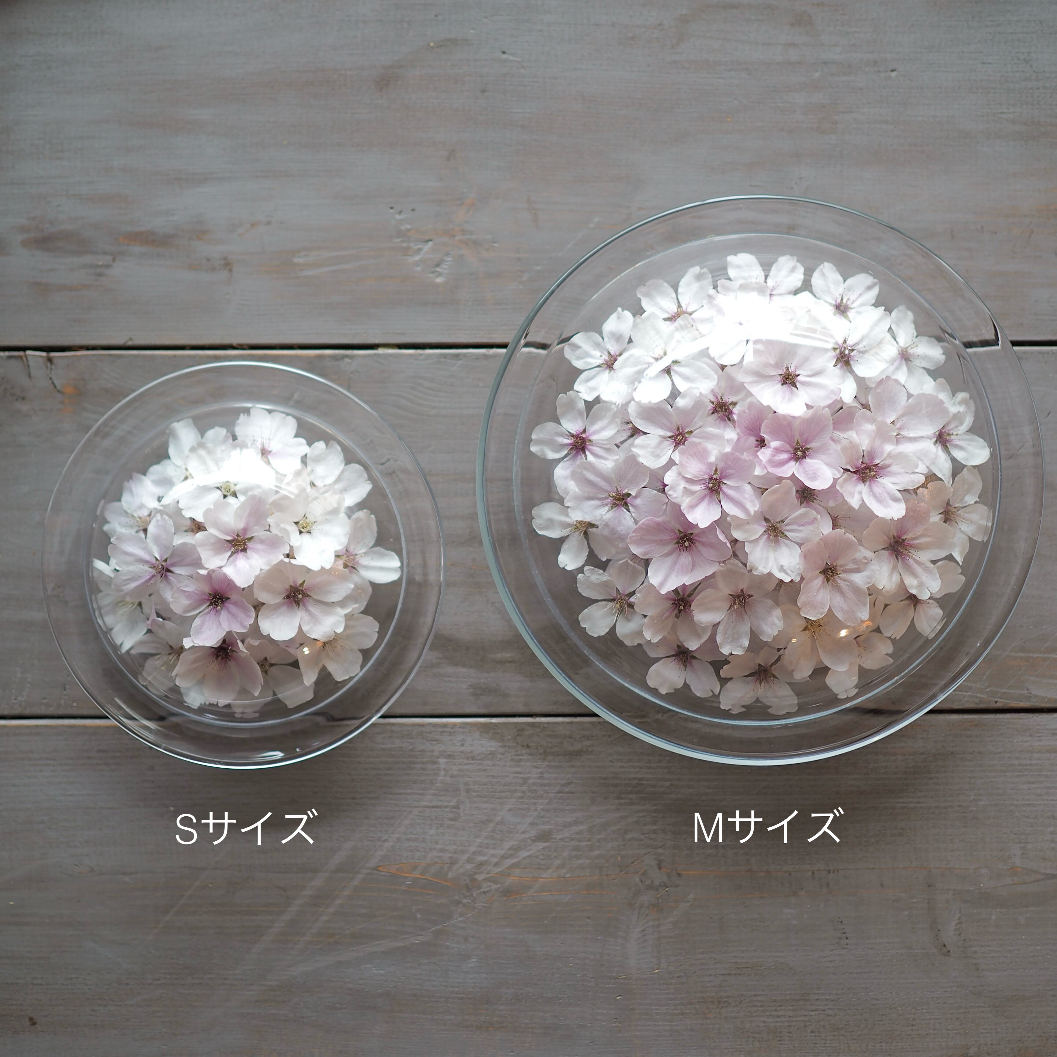 受注生産】ボトルフラワー 桜 ディッシュS | Oak House