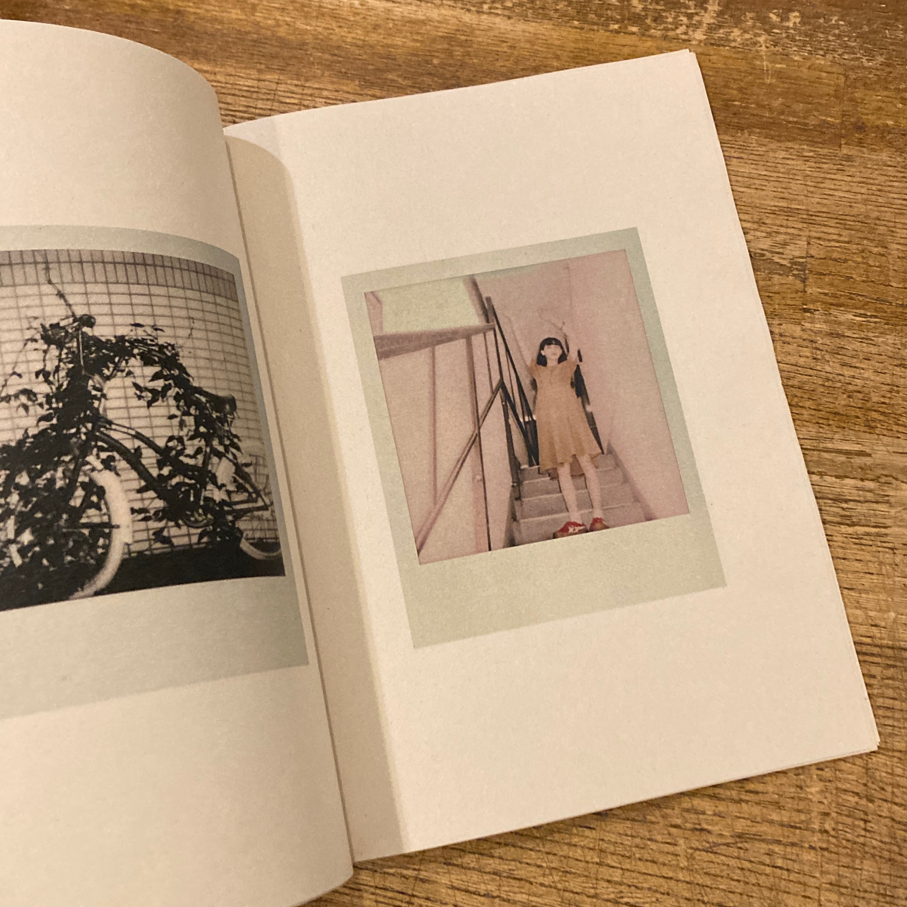 Personal Matters Polaroids / Motohiko Hasui 蓮井元彦 | 百年