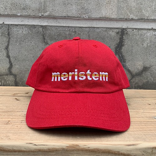 meristem／Logo Dad Cap