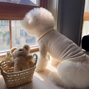 【PET】2色バイカラーロールカラーシャツ